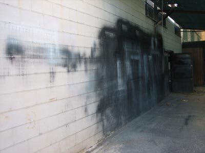 Nave Pintada